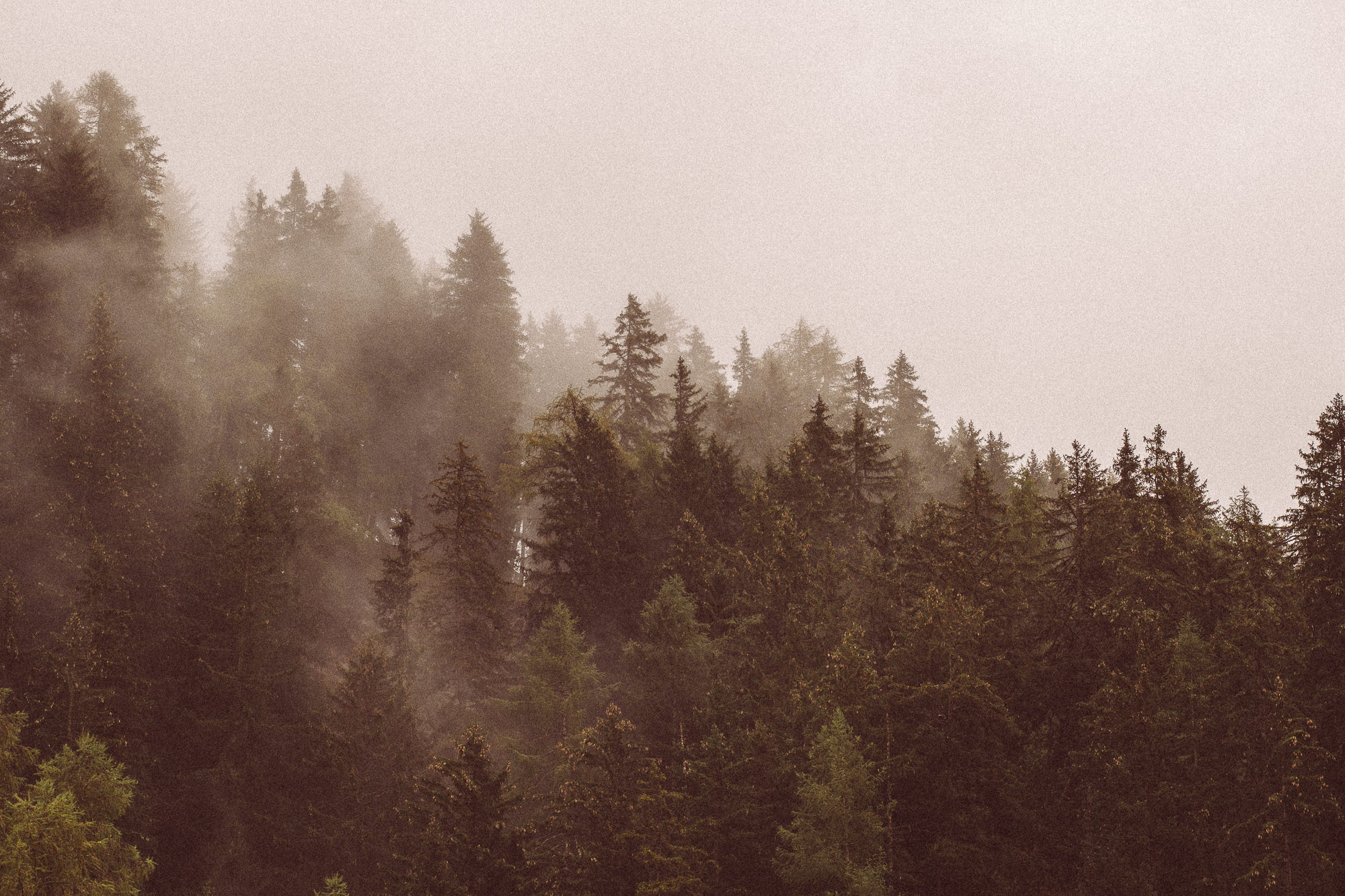 Export x3 1DX23870 Fotoshooting 2018 Annette & Mike Nauders 4